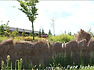 [시흥여행] 갯골생태공원, 흔들전망대와 소금창고가 들려주는 바다이야기