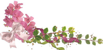 ���� �����̴� ������ ���۶��ο� ���� �̹��� �˻����