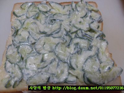 일단 먹어보고 말하자! 인기만점간식! 삼색샌드위치