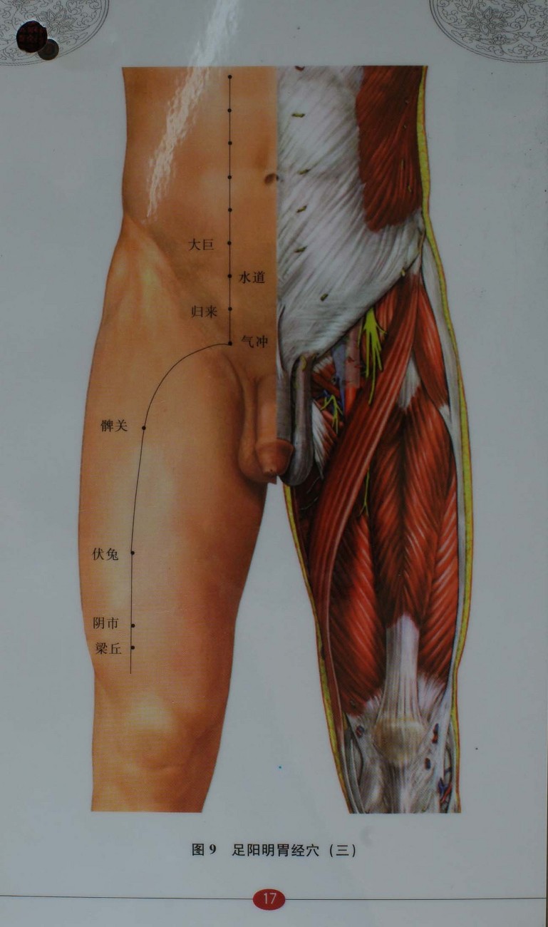  침구경혈자리