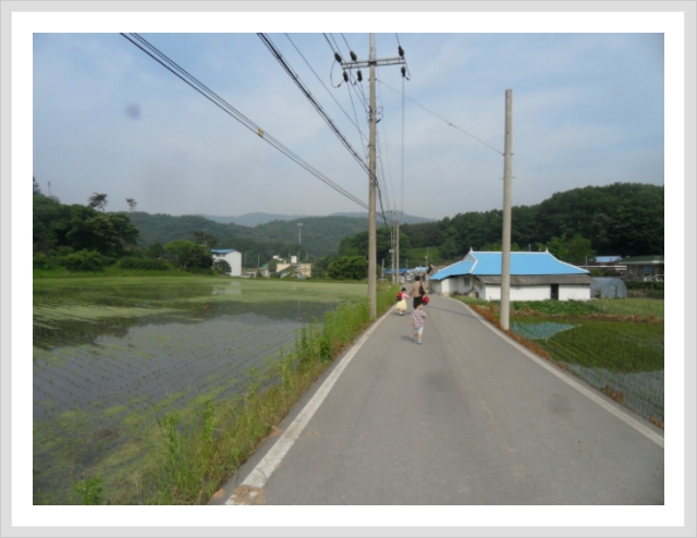 위례초등학교 이미지