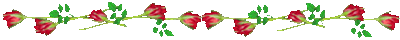 116EFF4E4D57C20F3447CB