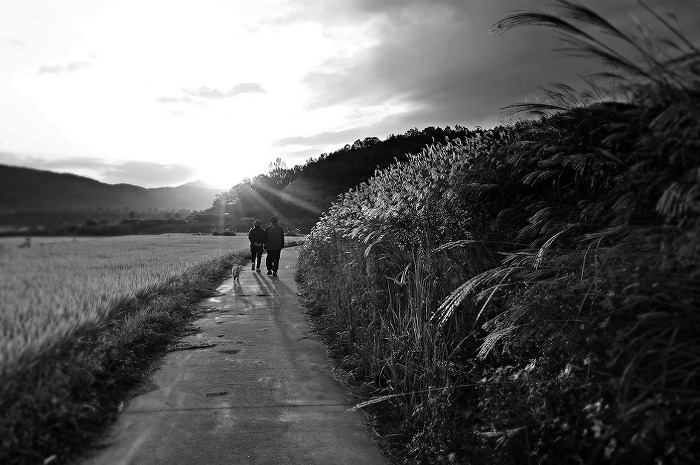 1173A3424FD52C782A8230