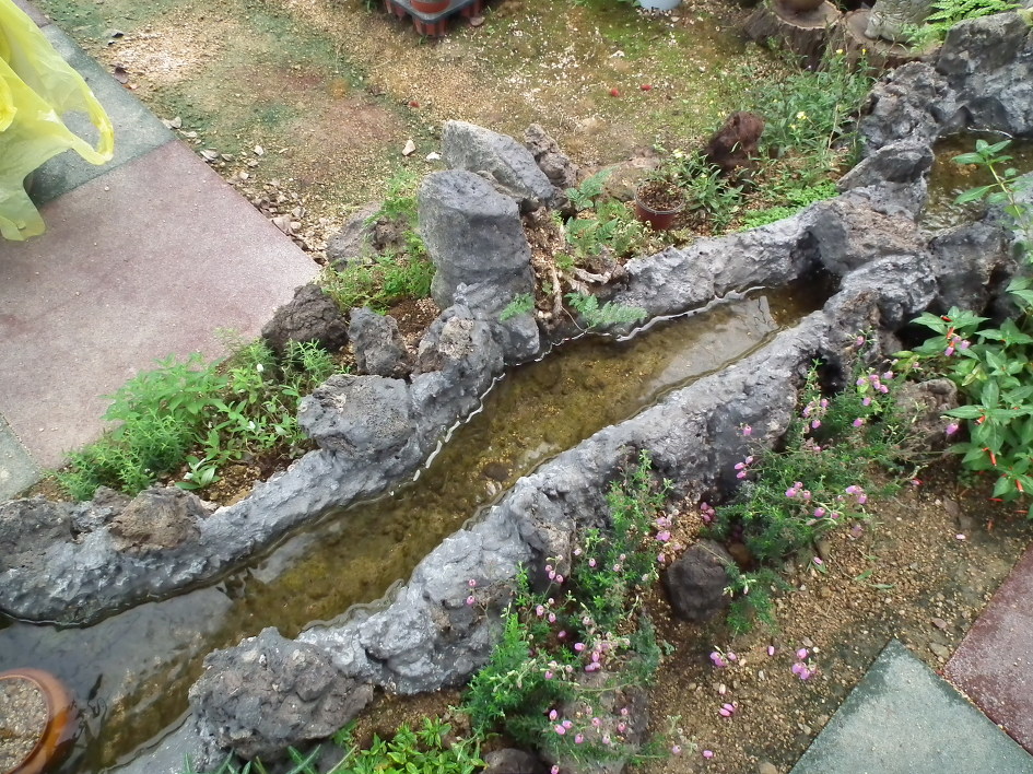 야생화뜰 이미지