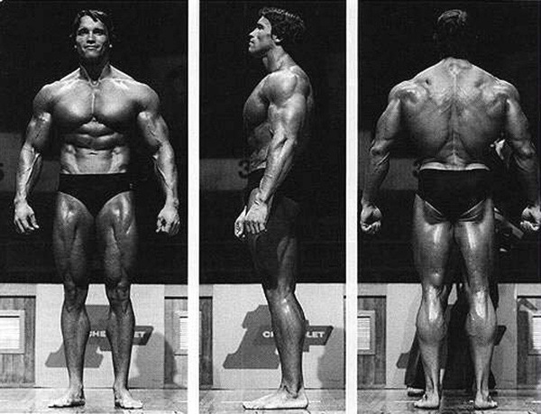 Arnold Schwarzenegger Mr Olympia 1974 Wip Polycount