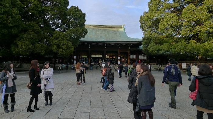 12618D404F1FFBF508C338