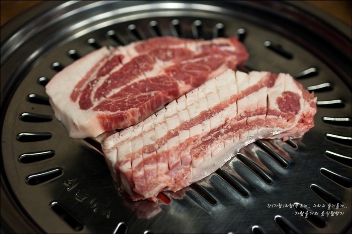 제주흑도야지 이미지