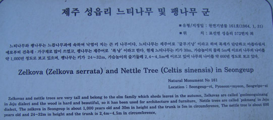 굴무기낭 이미지