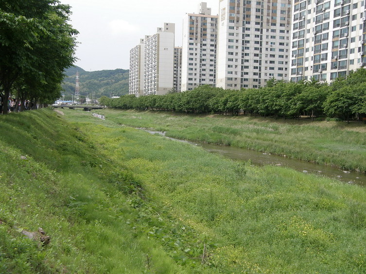 신명중학교 이미지