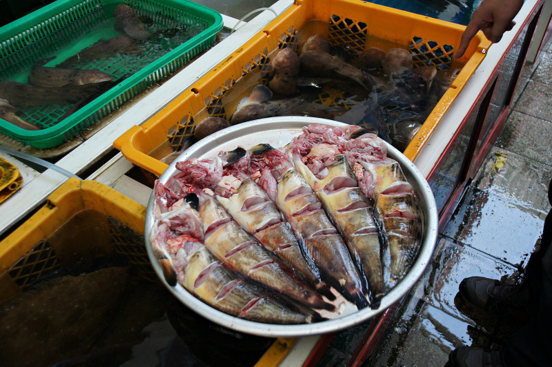 통영바다맛집 이미지