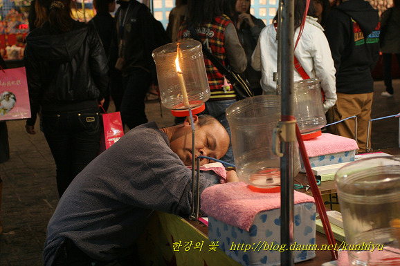 진기한 풍경(대만)-한강의 꽃