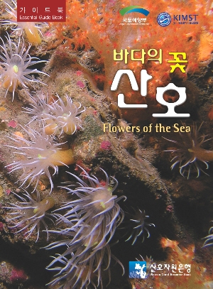 산호자원 이미지