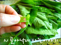 행복한시골밥상 이미지