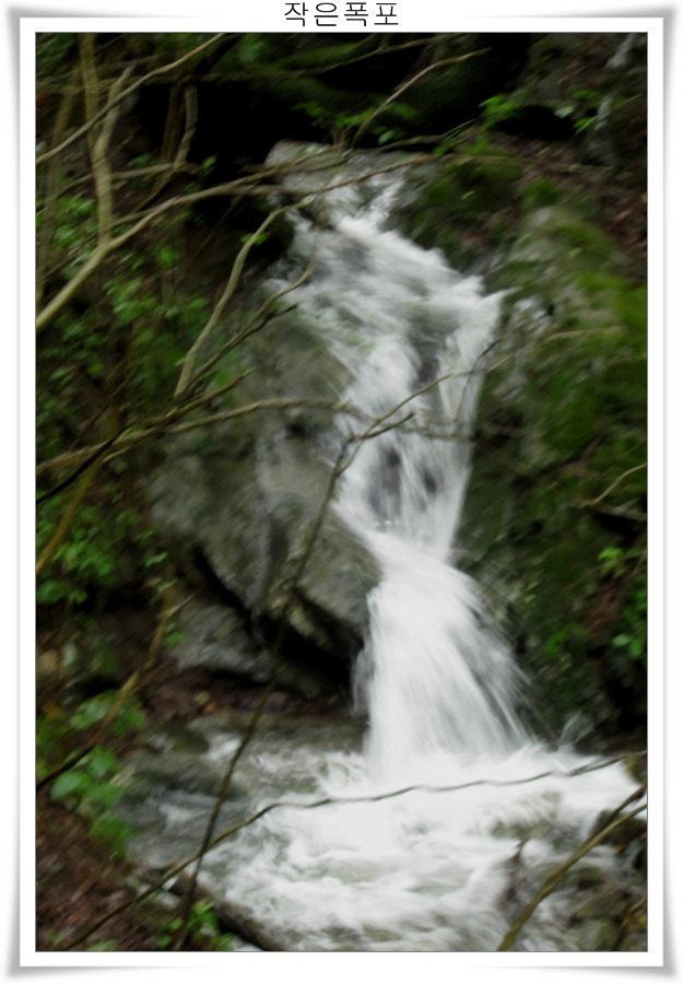 14331D4F5039ED9924E6DD