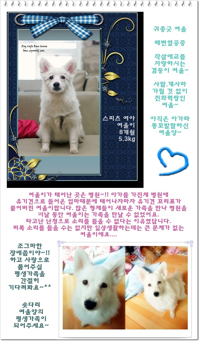 여울 이미지