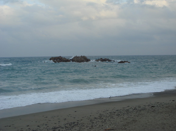 1542DA024B11F99F2399FB