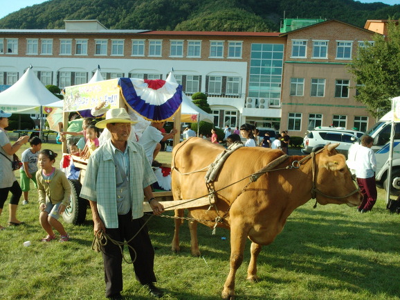 한우한마당 이미지