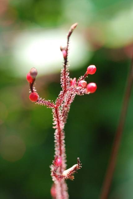 일과 성공이란...