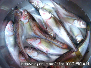 도루묵조림