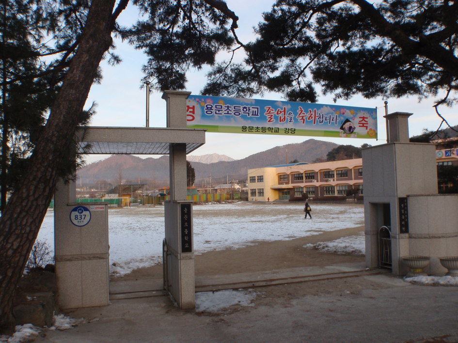 용문초등학교 이미지