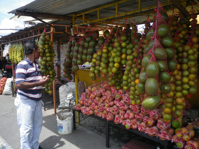 날마다 입이 닳도록 쓰는 스페인어(펌)