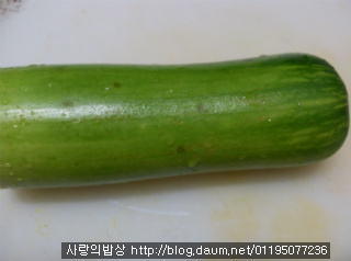 박물관뜨락,계절의여왕 강림하다! 숙녀의 화려한도시락 >_