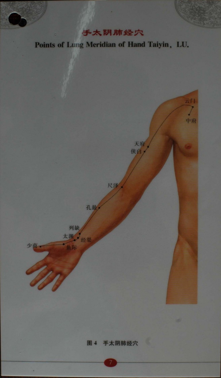  침구경혈자리