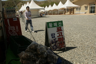 철쭉 군락지 이미지