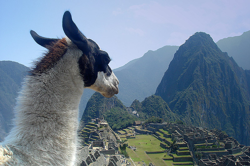 Machu Picchu - 2