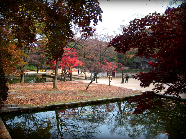 1737101D4AF5B2CC0D4858