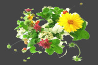 꽃다발(Bouquet)의 유래와 종류