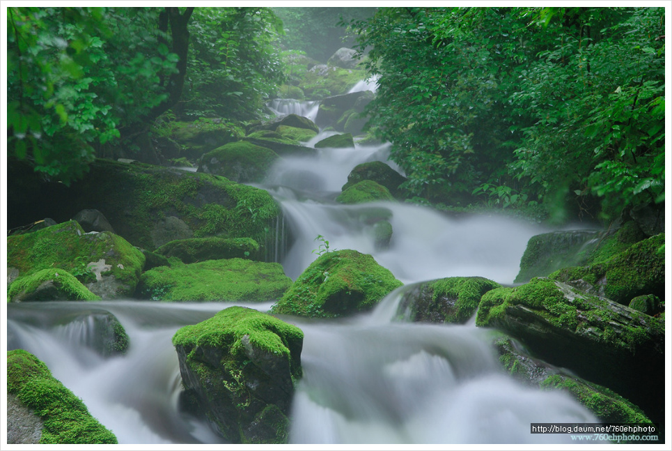 사라진 이끼계곡(2006.7.2)