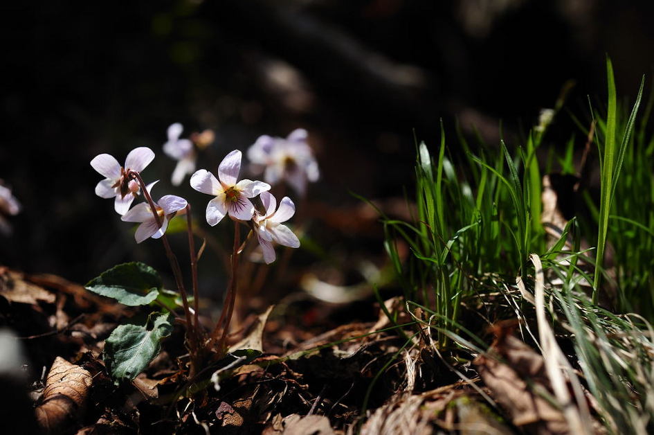 내가 진정 사랑하는 건...