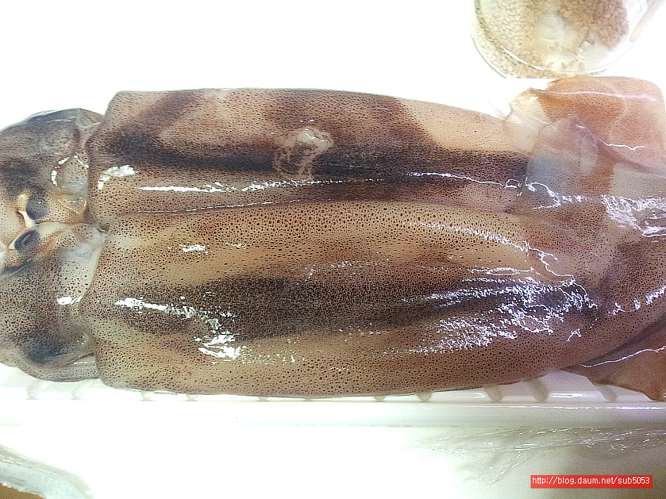 치킨 무를 활용한 꼬맹이들 입맛에 맞춘 충무김밥..아빠의 요리.. - 10만개의 레시피, 메뉴판키친 요리판