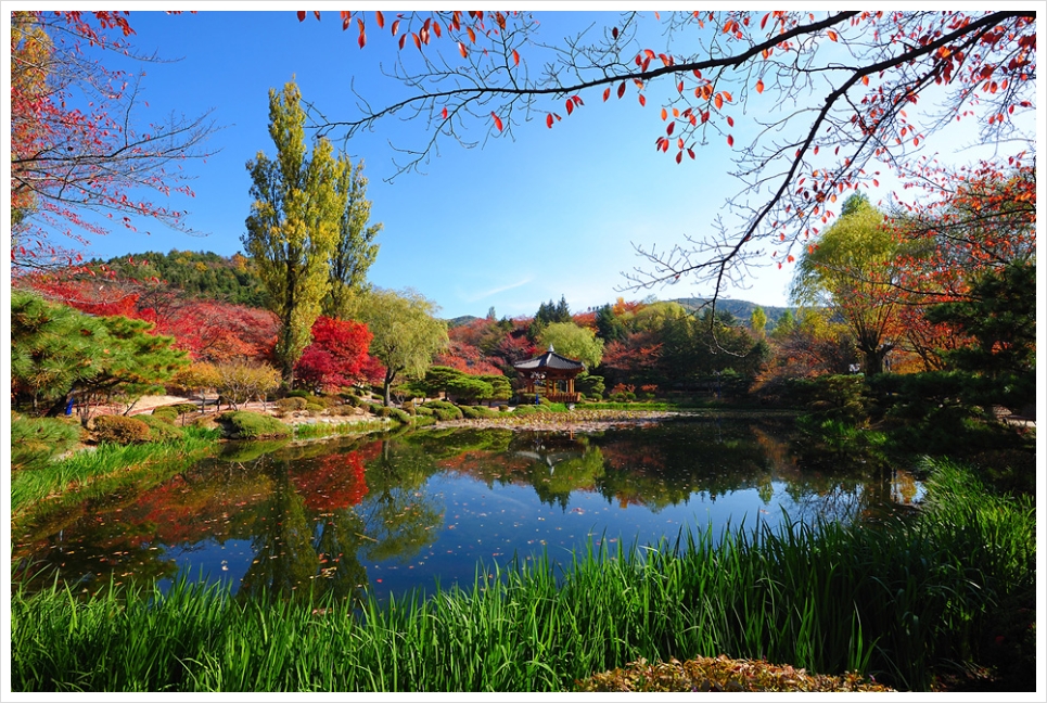 가을 보문정(2009.11.7)