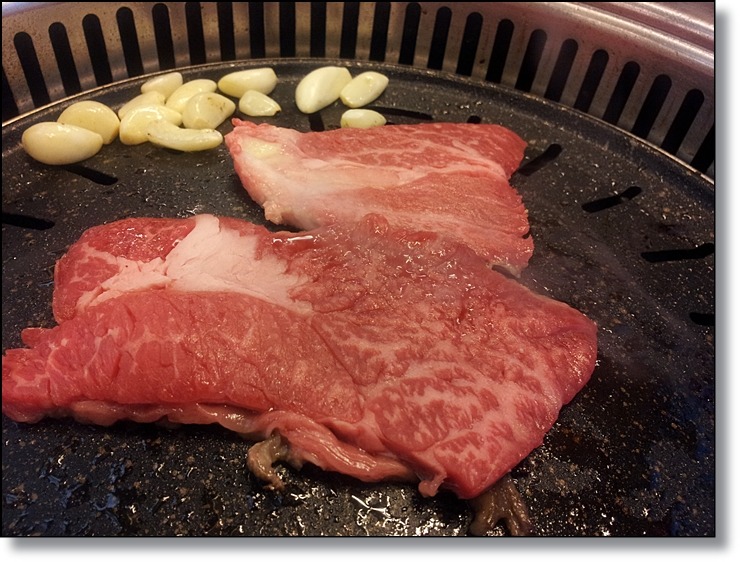 한우와한돈 이미지
