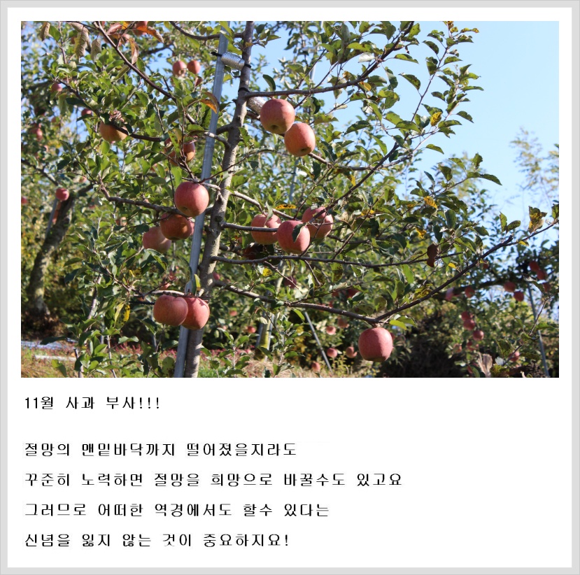 1851883B508D3BB22D92C9