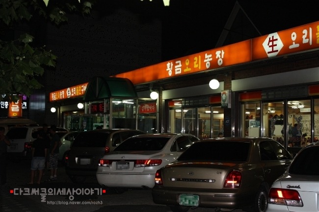 황금오리 이미지