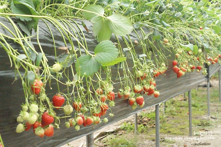 186F82534DA873EB234B51