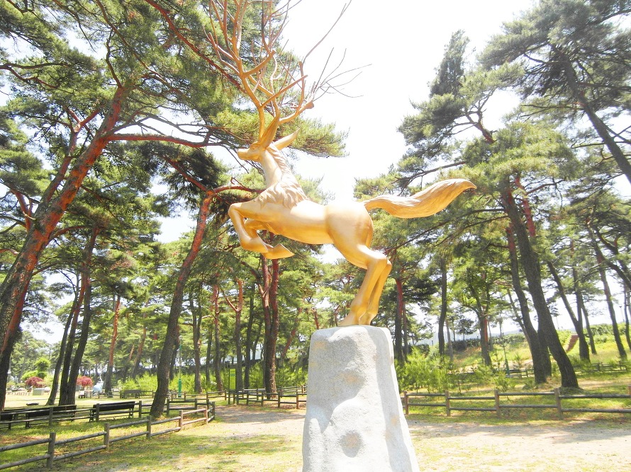 이미지
