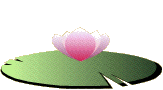 1930C00E4B7DE1EB341CFA