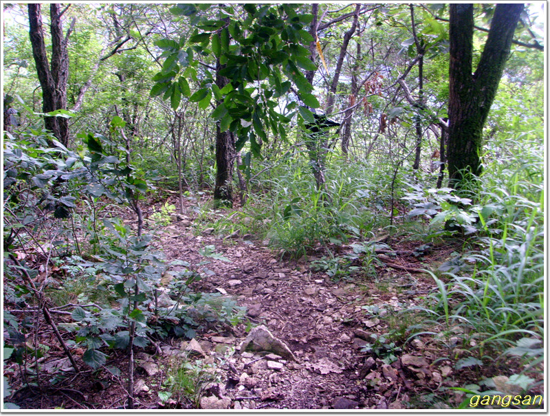 낙동정맥 14구간(한티재~시티재) 땜빵