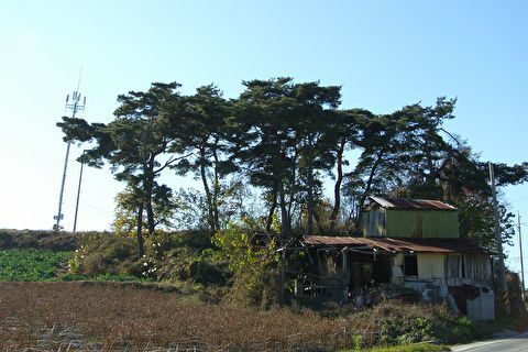 197DDA104C6274DA158E11