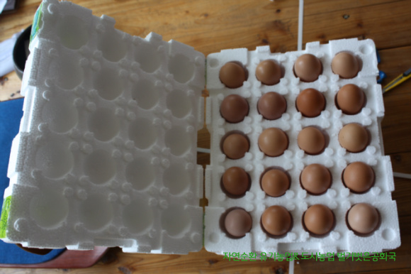 택배용 계란포장 에그박스 용기와 달걀 포장용기 생산회사 