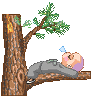Ŭ Ͻø ̹   ֽϴ