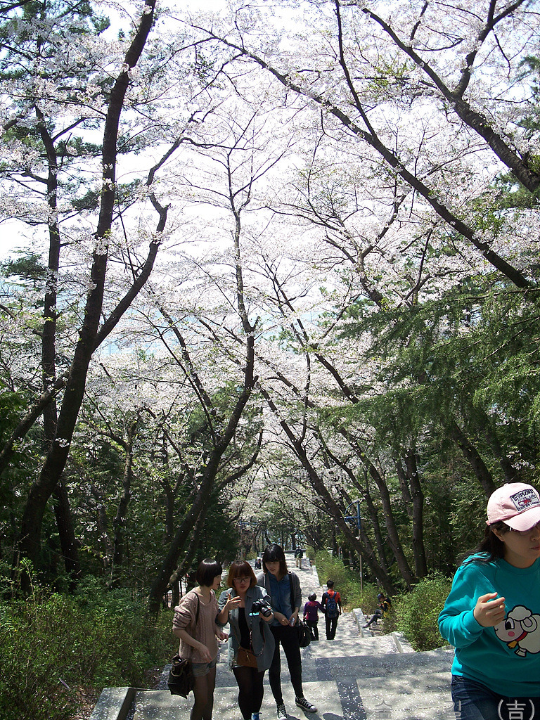 하나화원 이미지