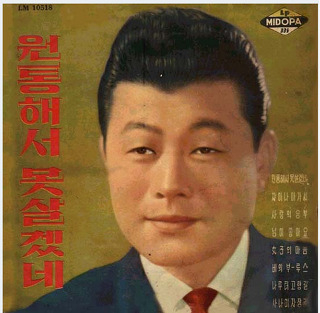 정향 이미지