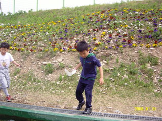 206BE5024BE77EDEB28DA8