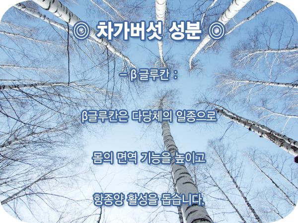 (주)고려인삼공사 이미지