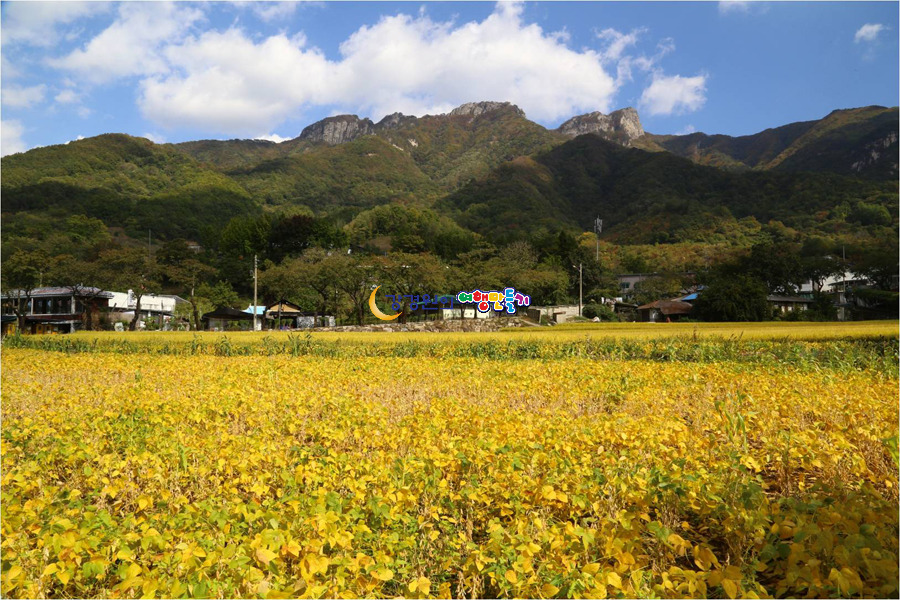 제천관광주 이미지